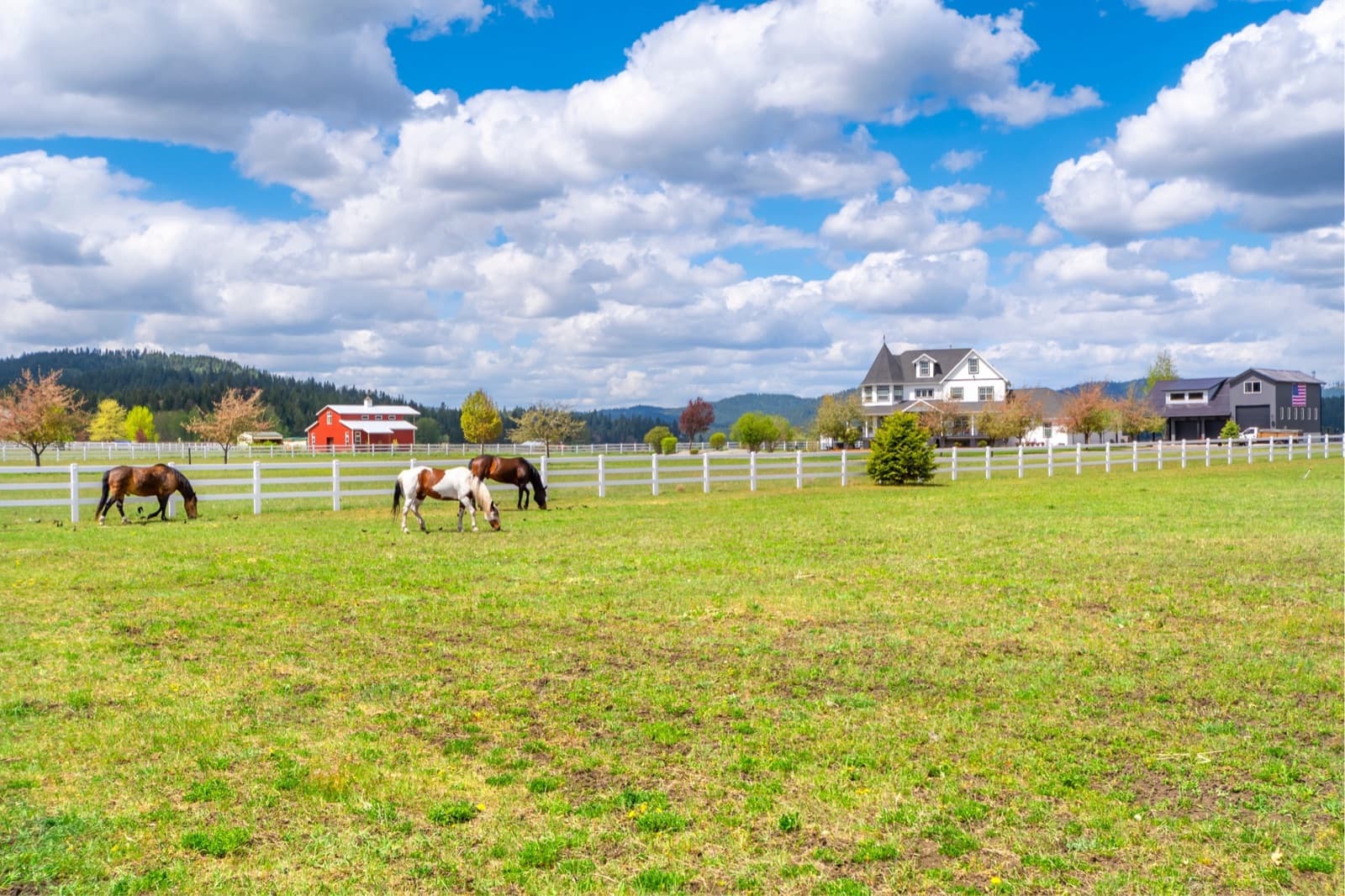 Three horses grazing in a green pasture with white rail fencing, a red barn and a farmhouse beyond, under a sky of white clouds.